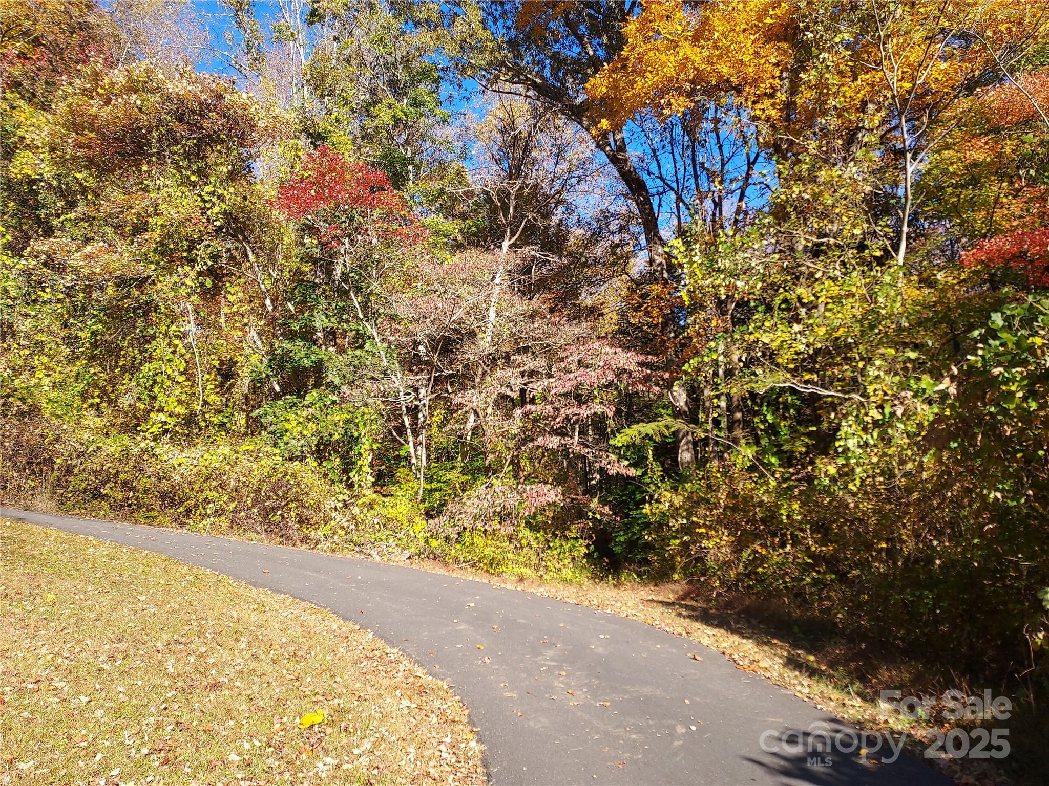 5-acres 5-acres Blue Ridge Trail Columbus, NC 28722 - Photo 14 of 21
