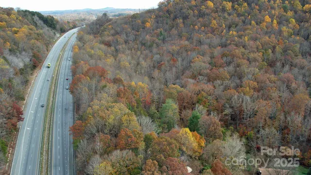 a view of a yard with large trees