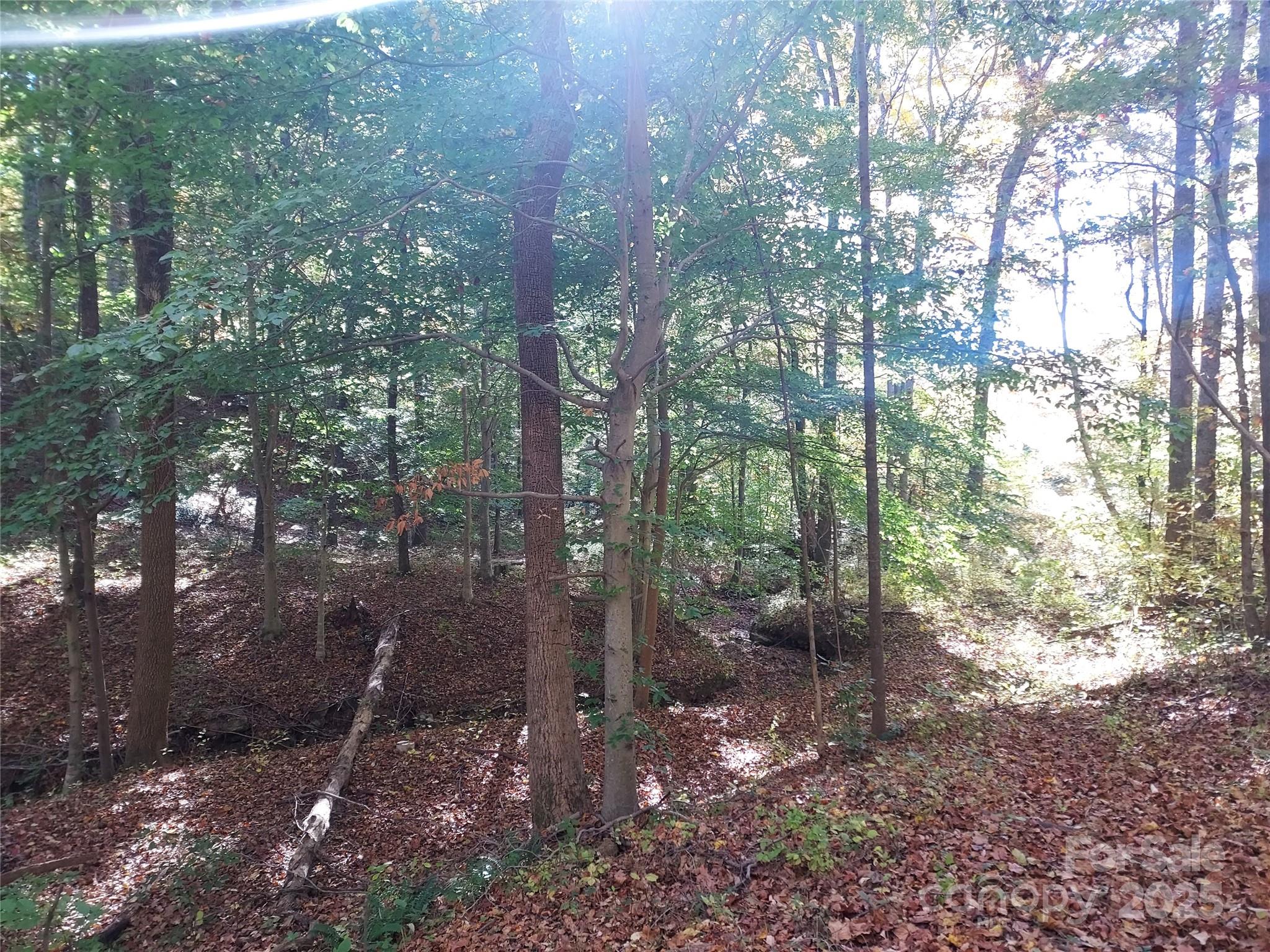 5-acres 5-acres Blue Ridge Trail Columbus, NC 28722 - Photo 2 of 21 a view of a forest with trees