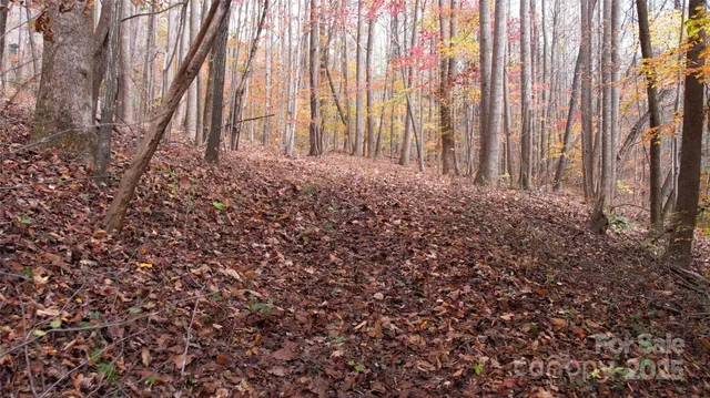 $89,900 | 5-acres 5-acres Blue Ridge Trail, Columbus, NC 28722