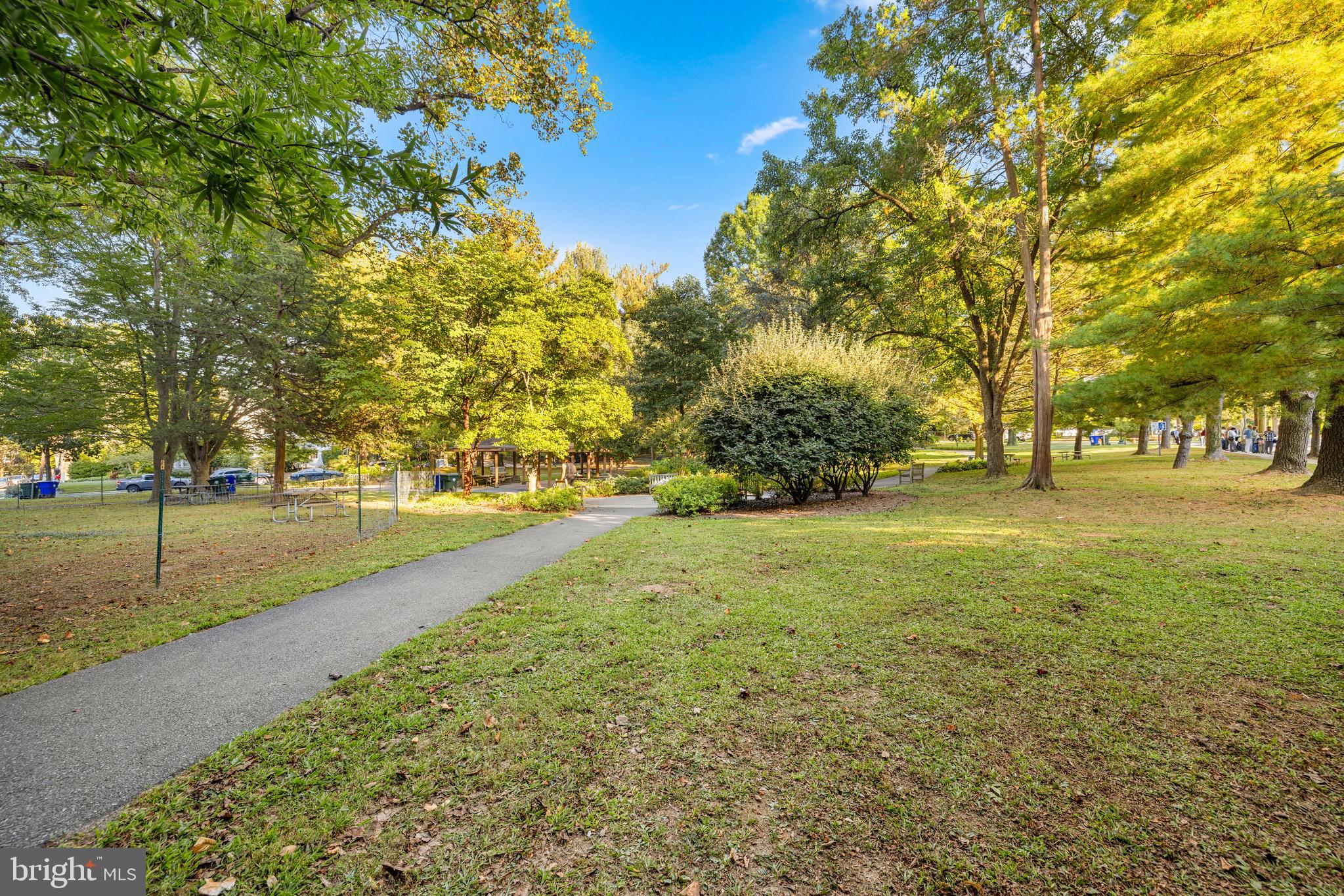 7222 47th Street, Unit R2 Bethesda, MD 20815 - Photo 23 of 26 a view of yard with green space