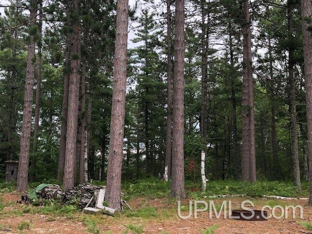 Tbd Adams Trail Seney, MI 49883 - Photo 5 of 16