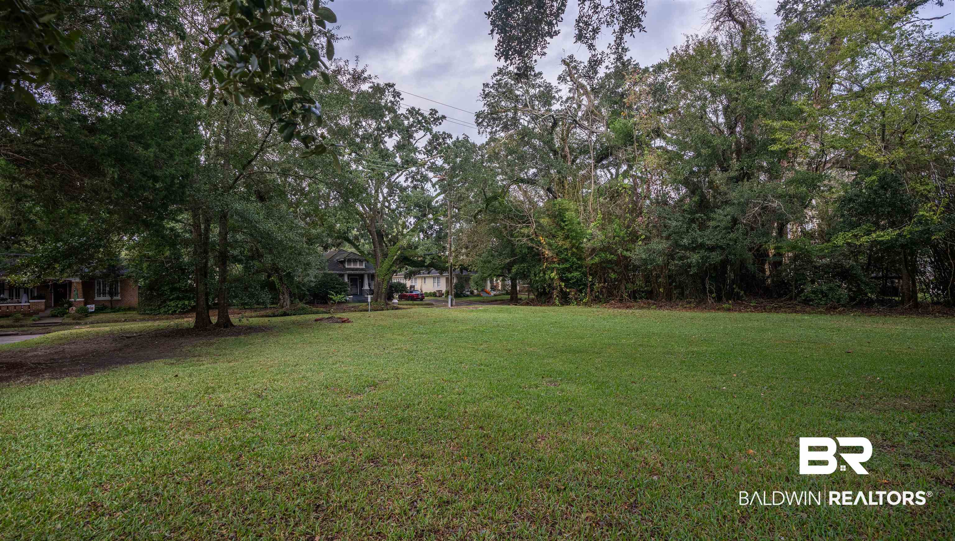 113 Houston Street Mobile, AL 36606 - Photo 13 of 15 View of yard