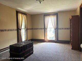 6983 Maple Street Kingsley, PA 18826 - Photo 54 of 79 IMG_3365