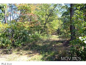 3010 Dungeon Road Berea, WV 26327 - Photo 3 of 5