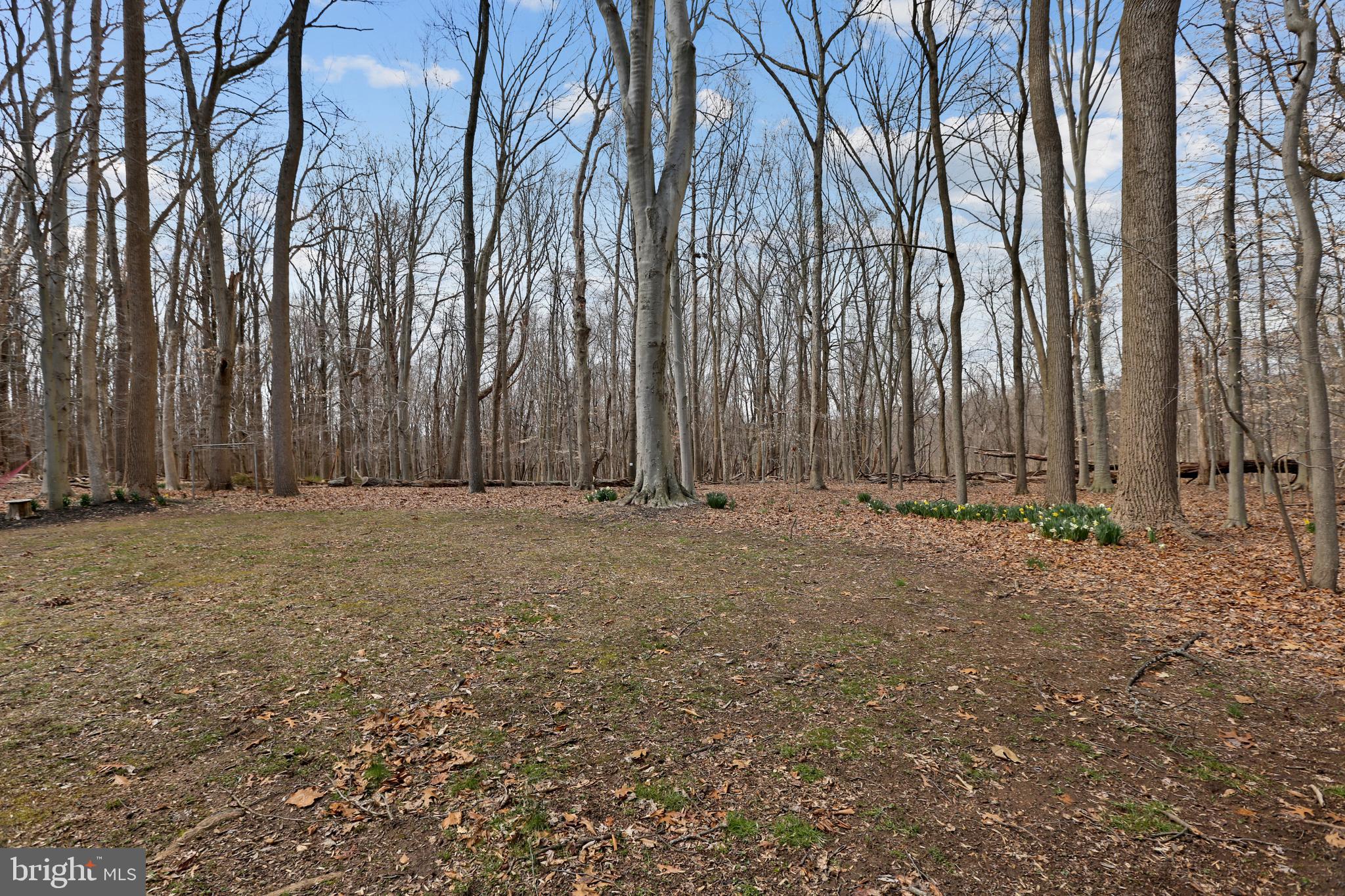 12888 Eagles View Road Phoenix, MD 21131 - Photo 47 of 51 Gallery Image 47