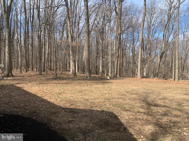 12888 Eagles View Road Phoenix, MD 21131 - Photo 5 of 51 Gallery Image 5