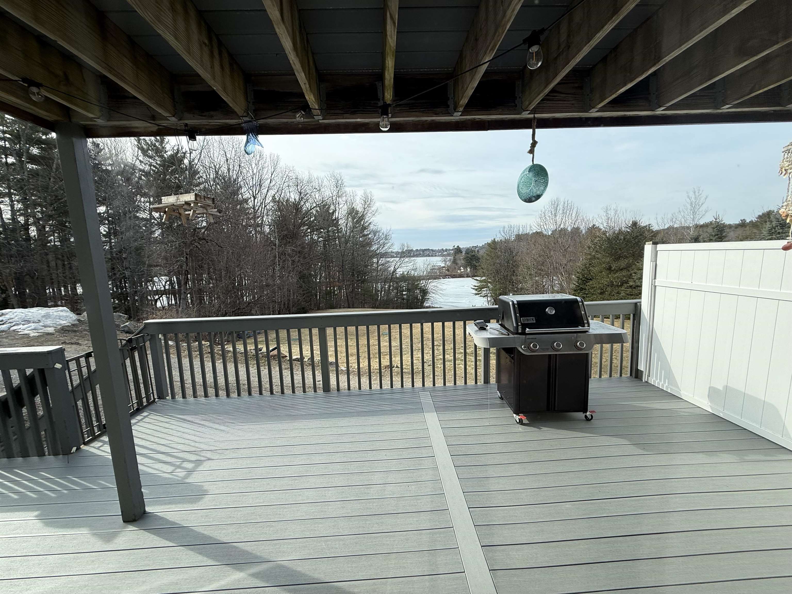 116 Hilliard Road Laconia, NH 03246 - Photo 4 of 21
