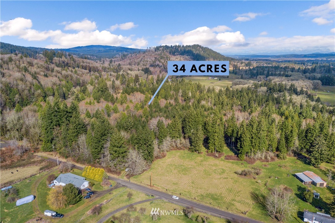 0 Lewis Road Oakville, WA 98568 - Photo 2 of 7 Gallery Image 2