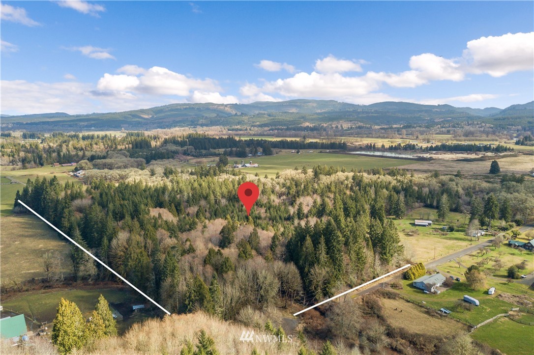 0 Lewis Road Oakville, WA 98568 - Photo 3 of 7 Gallery Image 3