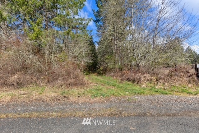 0 Lewis Road Oakville, WA 98568 - Photo 5 of 7 Gallery Image 5