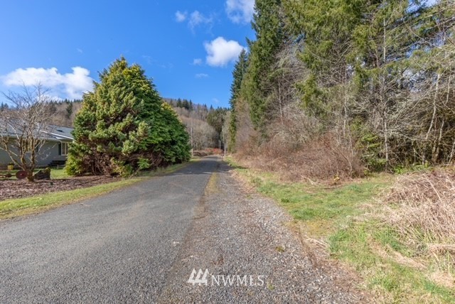 0 Lewis Road Oakville, WA 98568 - Photo 6 of 7 Gallery Image 6