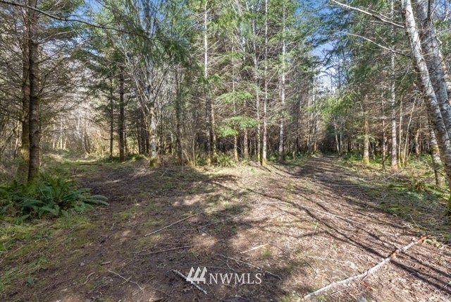 0 Lewis Road Oakville, WA 98568 - Photo 7 of 7 Gallery Image 7