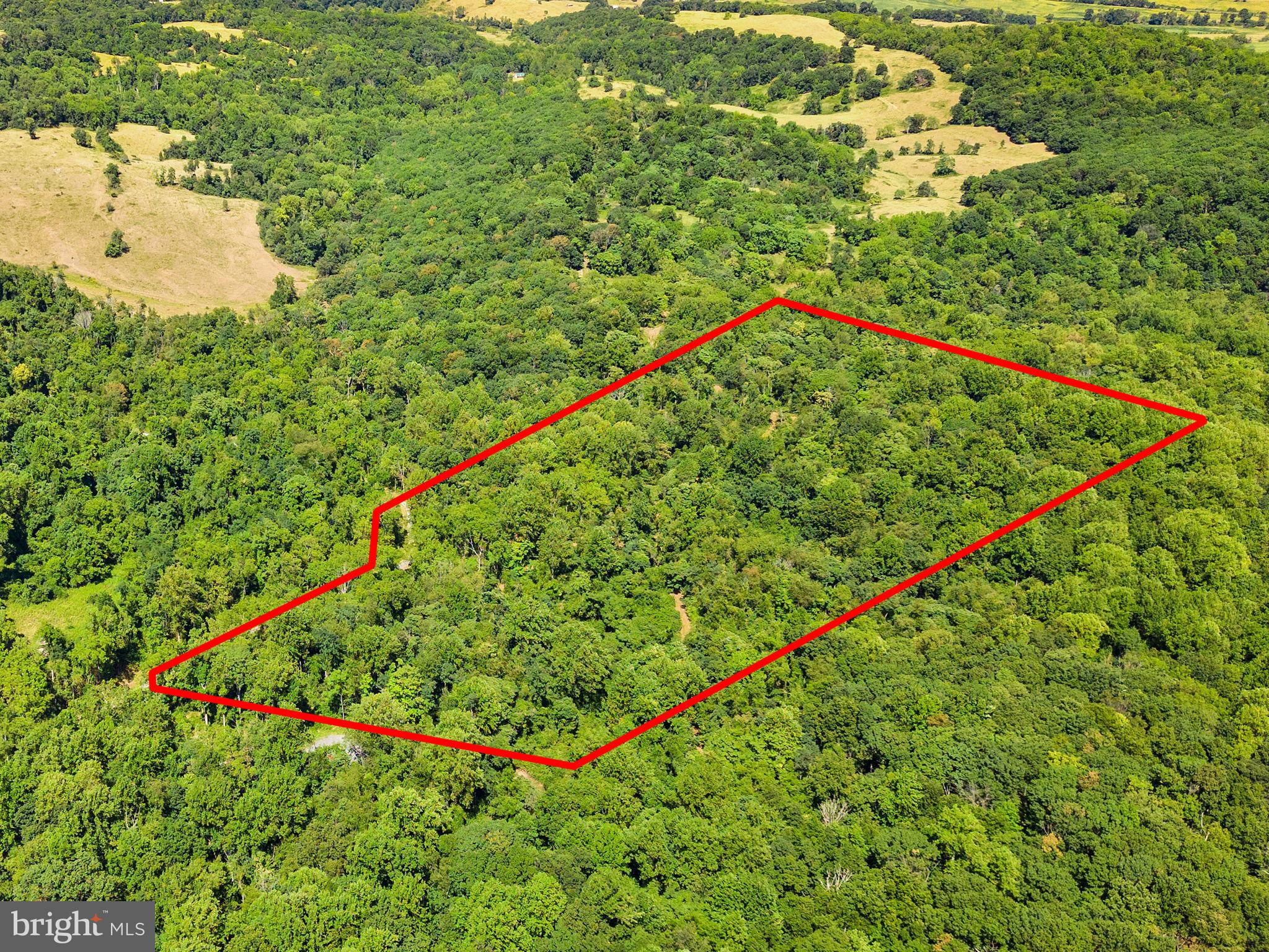 Apple Manor Road Delaplane, VA 20144 - Photo 1 of 14 Welcome to Apple Manor Parcel 7R-1A!