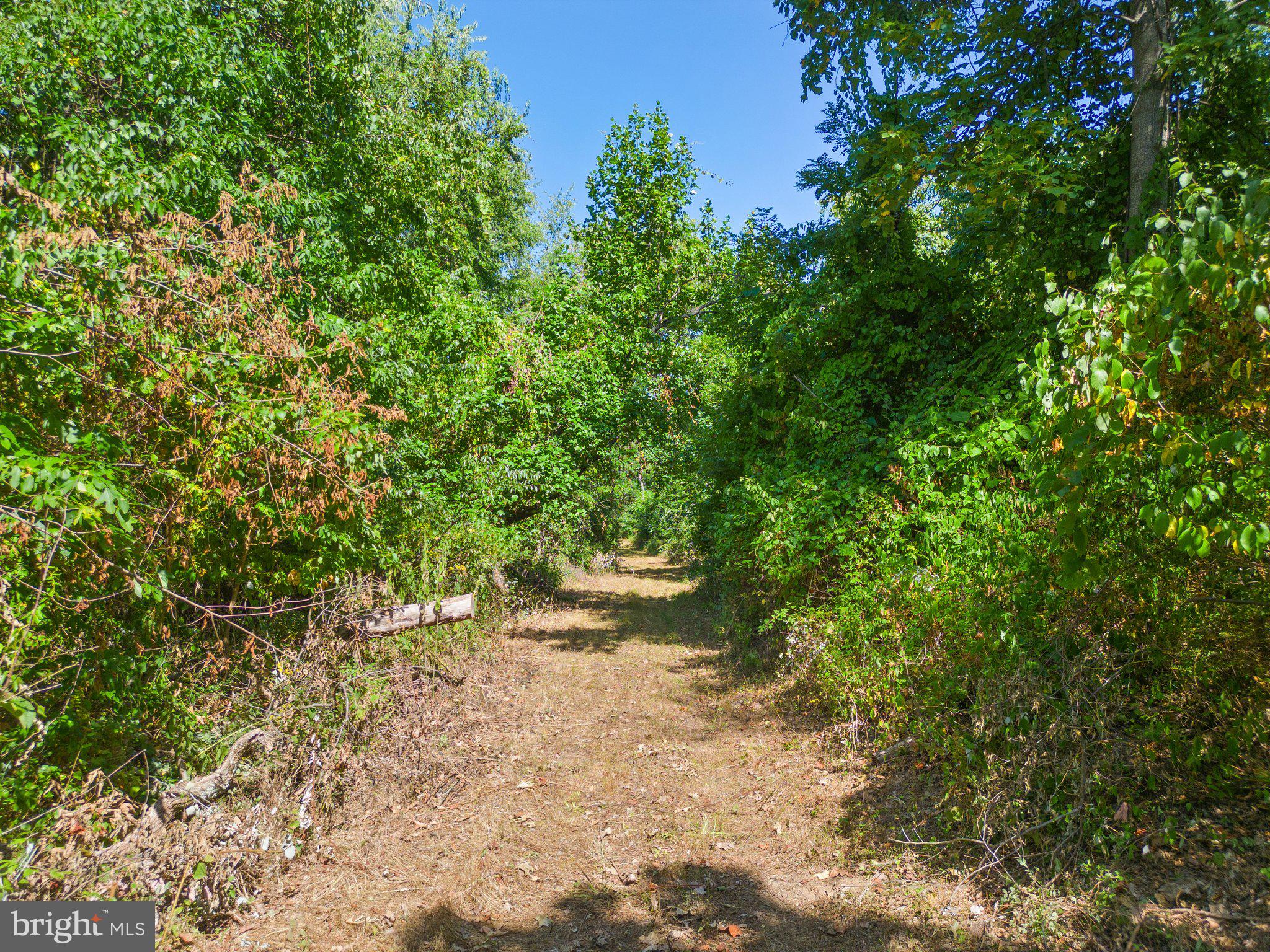 Apple Manor Road Delaplane, VA 20144 - Photo 12 of 14 View of the walking/driving trails