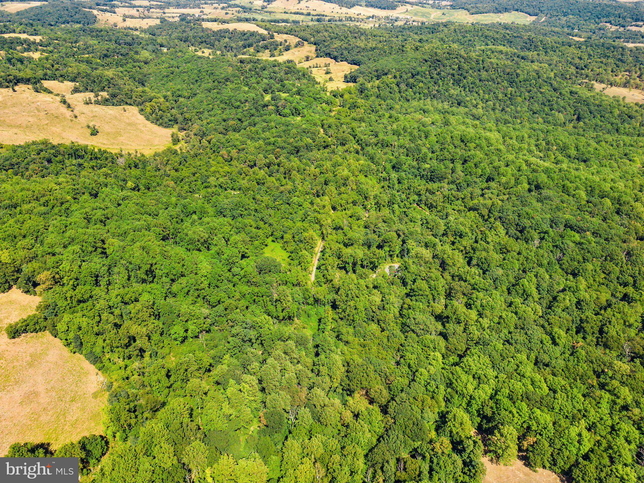 Apple Manor Road Delaplane, VA 20144 - Photo 4 of 14 Private and secluded wooded setting