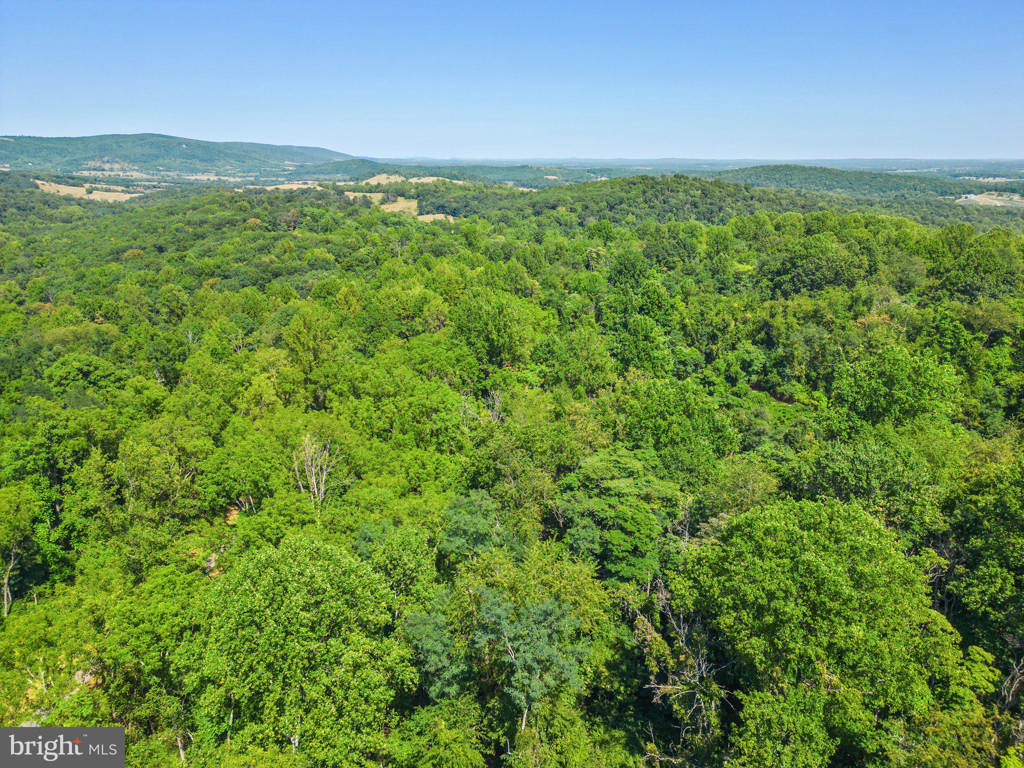 Apple Manor Road Delaplane, VA 20144 - Photo 6 of 14 Gallery Image 6