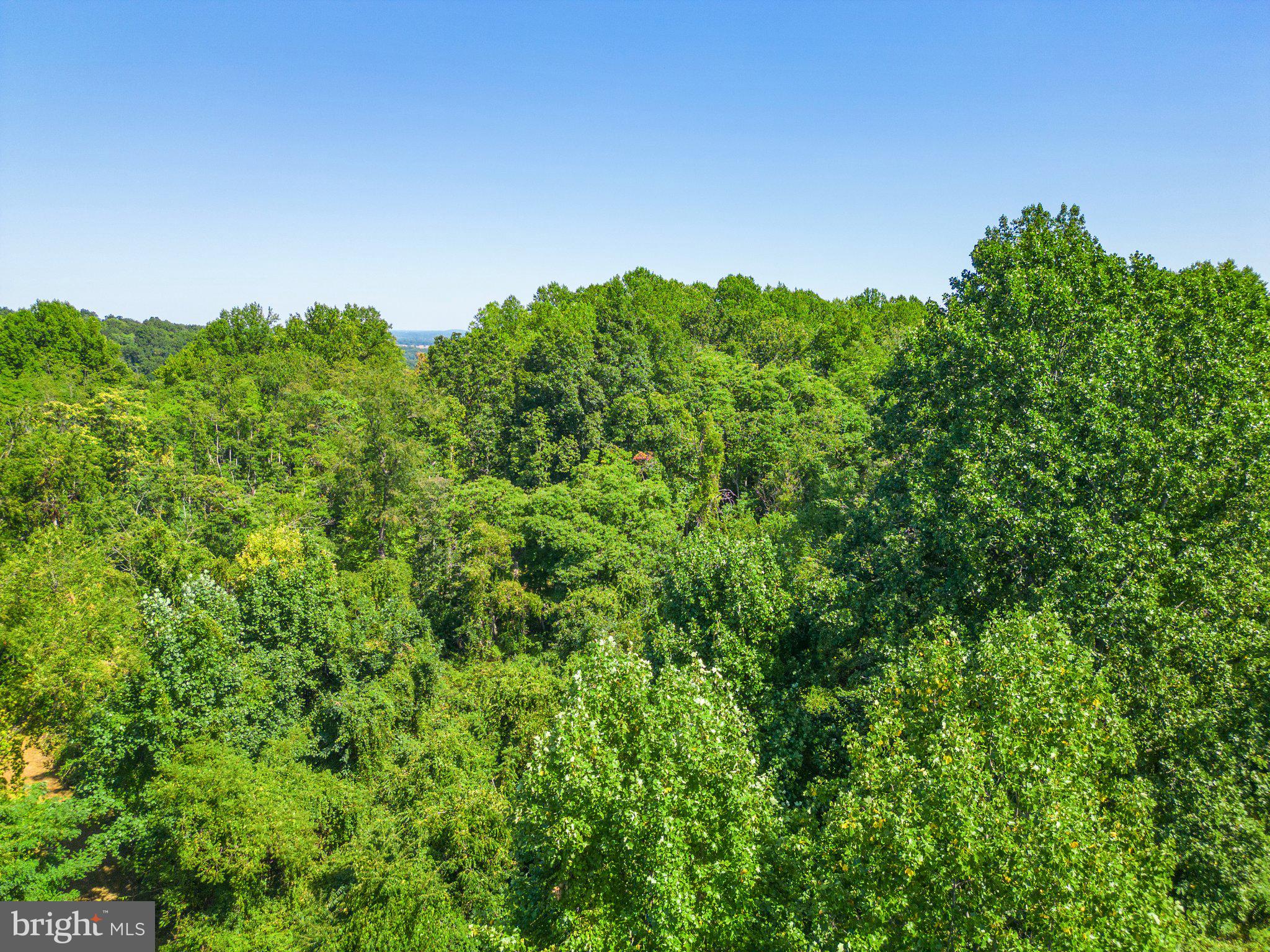 Apple Manor Road Delaplane, VA 20144 - Photo 7 of 14 Gallery Image 7