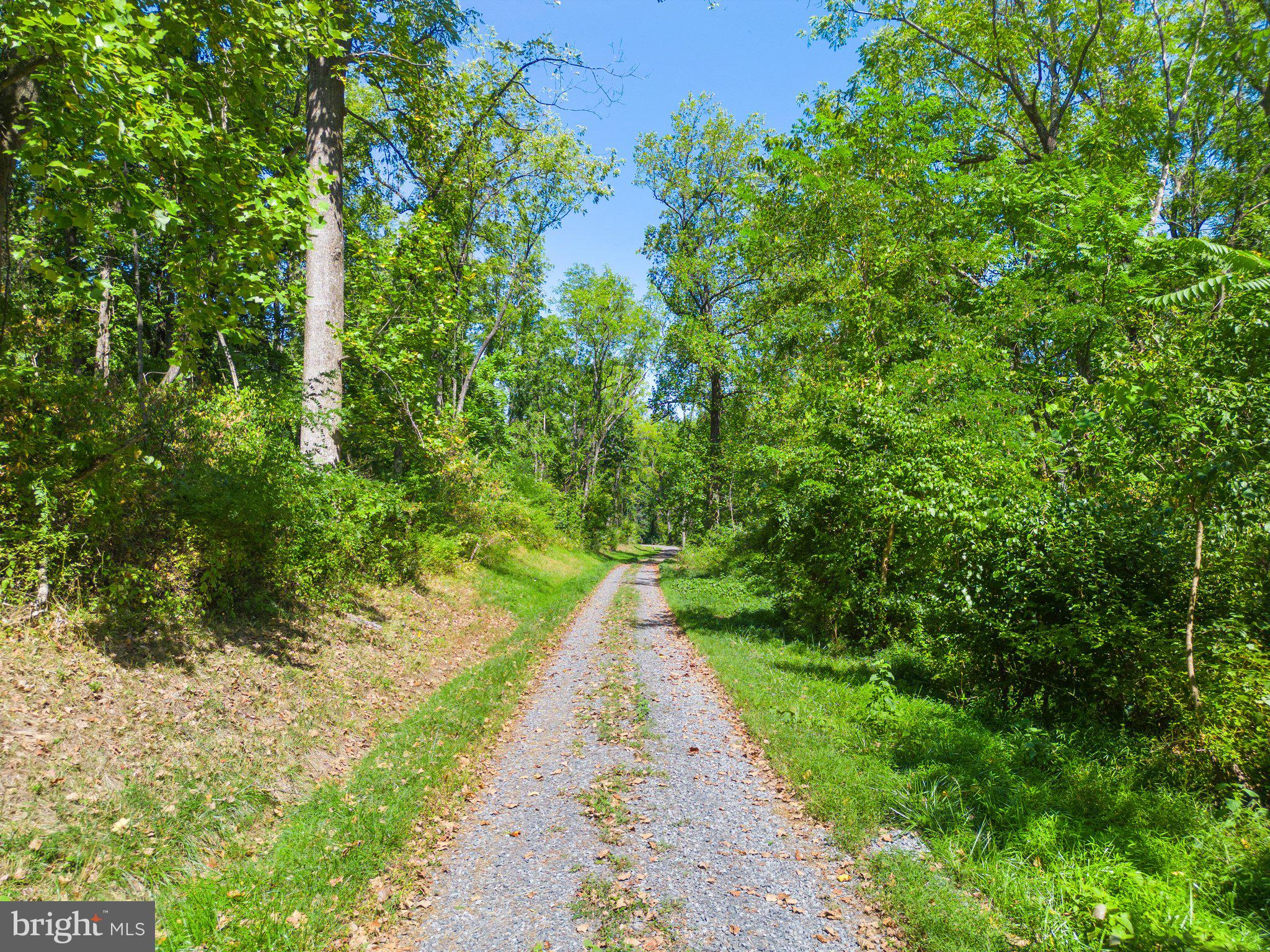 Apple Manor Road Delaplane, VA 20144 - Photo 8 of 14 Apple Manor Road is a gravel road.