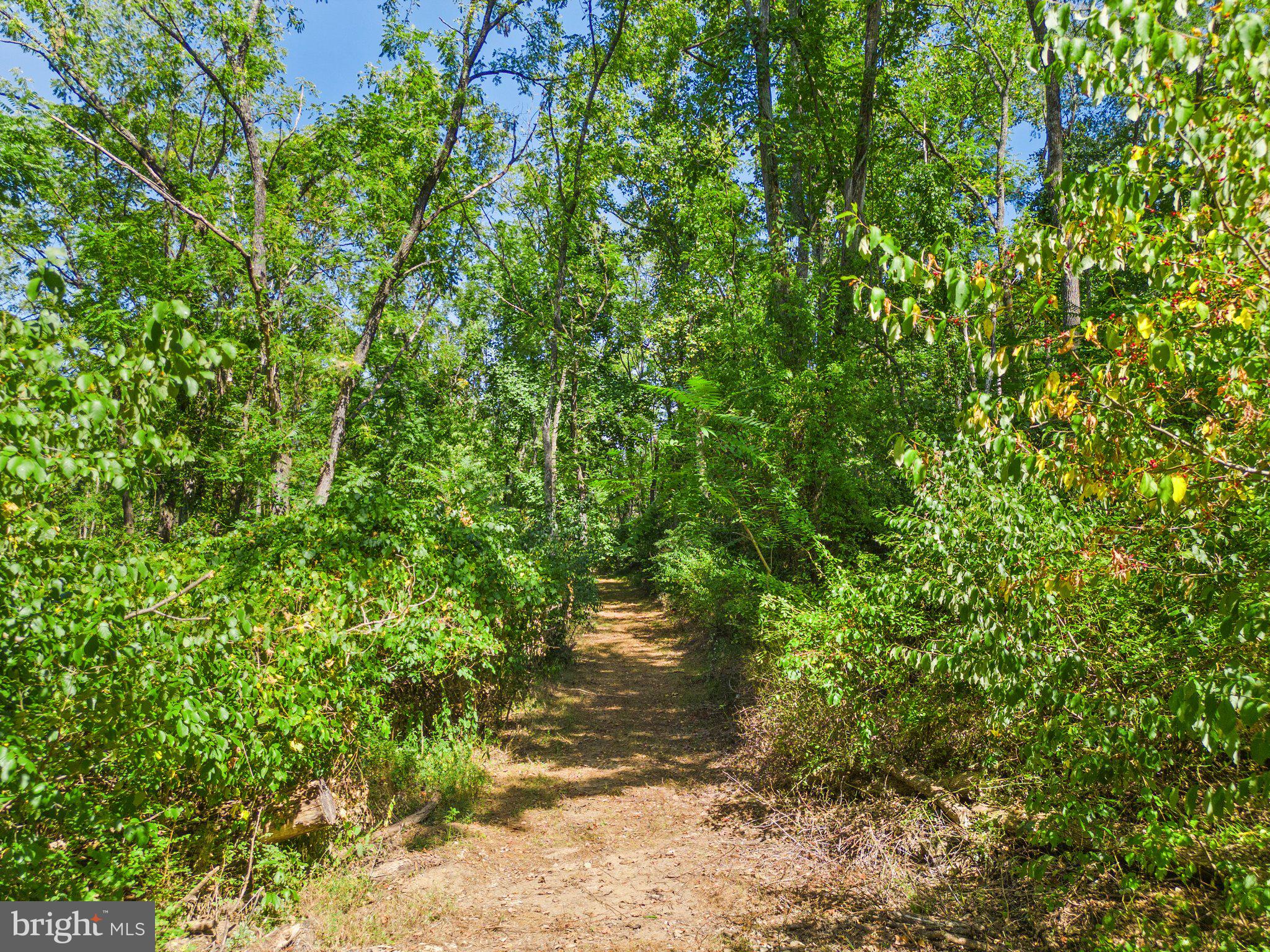Apple Manor Road Delaplane, VA 20144 - Photo 10 of 14 Many walking trails throughout Apple Manor!