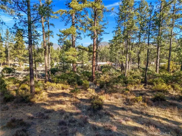 $249,000 | 1 Pipe Creek Road, Mountain Center, CA 92561