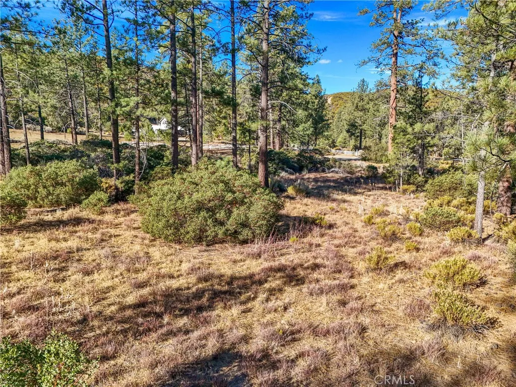 1 Pipe Creek Road Mountain Center, CA 92561 - Photo 5 of 20