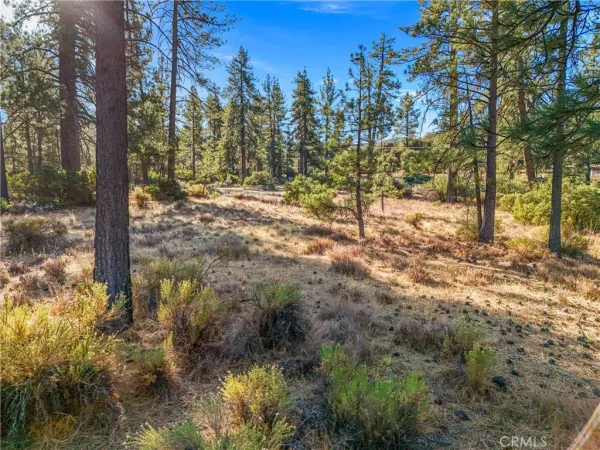$249,000 | 1 Pipe Creek Road, Mountain Center, CA 92561