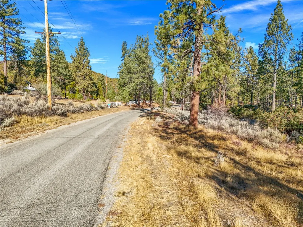 1 Pipe Creek Road Mountain Center, CA 92561 - Photo 9 of 20 a view of a yard with a tree