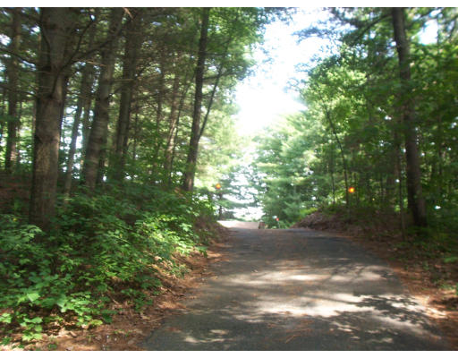 28 Beach Road Ware, MA 01082 - Photo 9 of 16 a view of a yard with plants and large trees