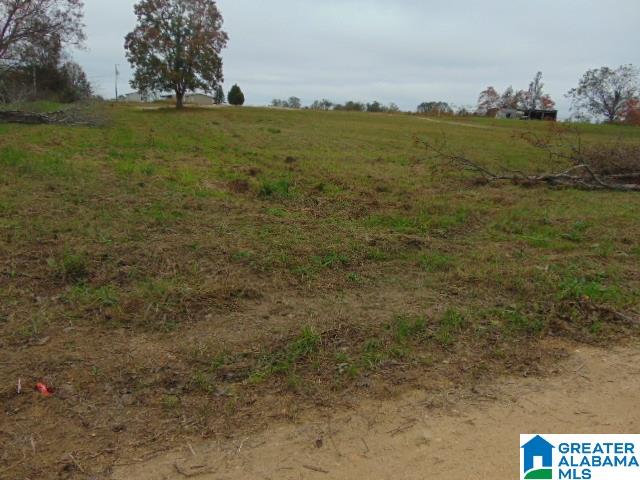 805 County Road 342, Unit 1 Maplesville, AL 36750 - Photo 6 of 7
