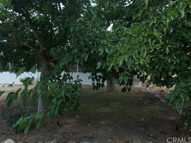 12285 Golden View Road Pinon Hills, CA 92372 - Photo 12 of 33 a big yard with lots of green space and deers