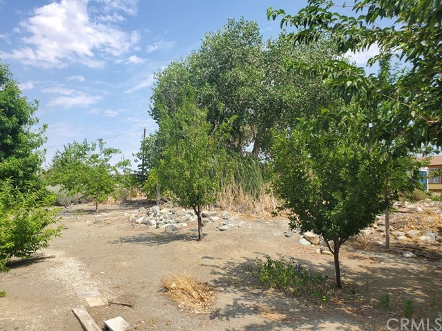 12285 Golden View Road Pinon Hills, CA 92372 - Photo 13 of 33 a view of dirt yard with a trees