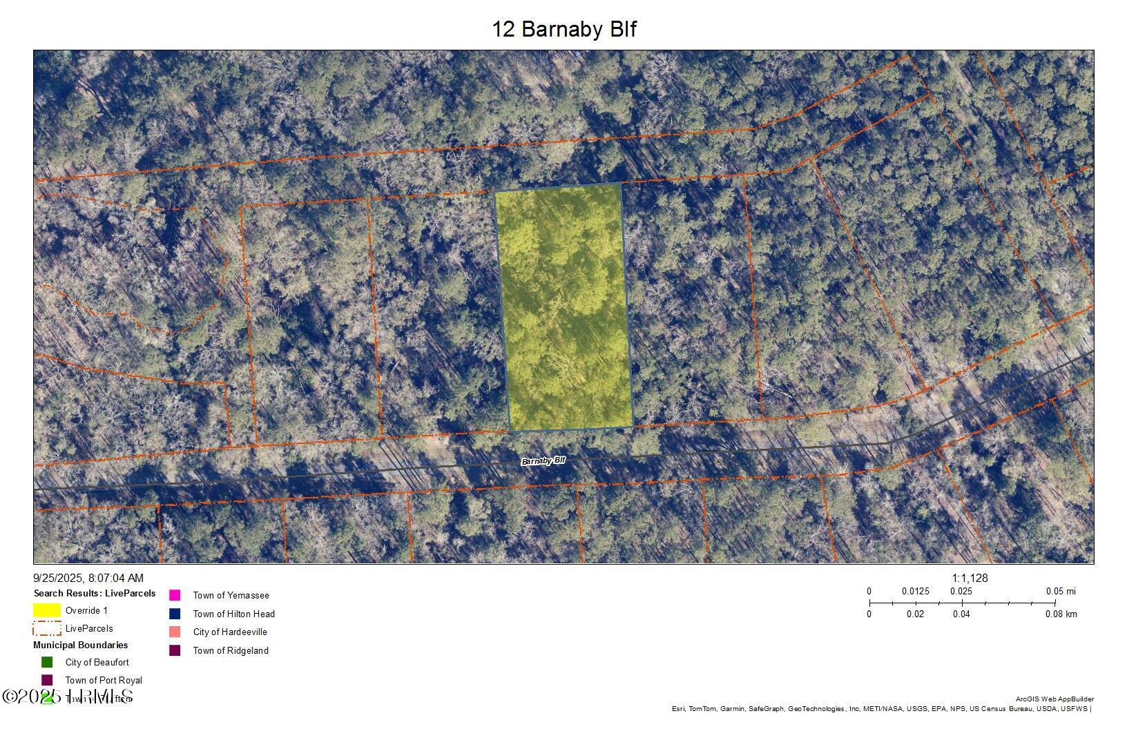 12 Barnaby Bluff Seabrook, SC 29940 - Photo 1 of 15 GIS Map