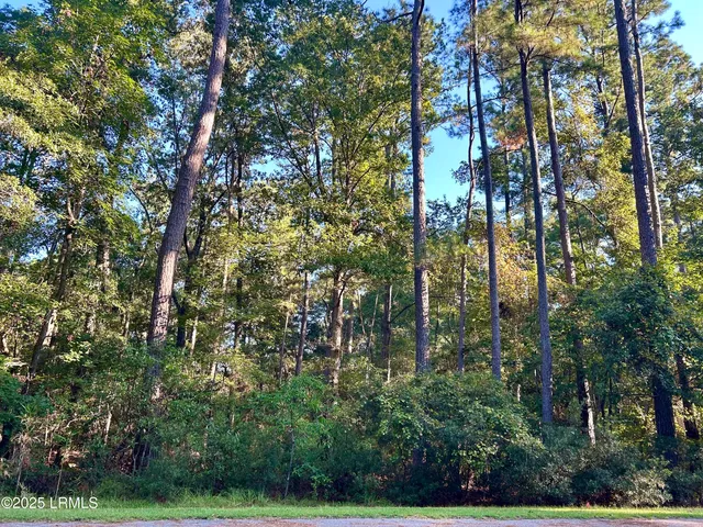 $50,000 | 12 Barnaby Bluff, Seabrook, SC 29940