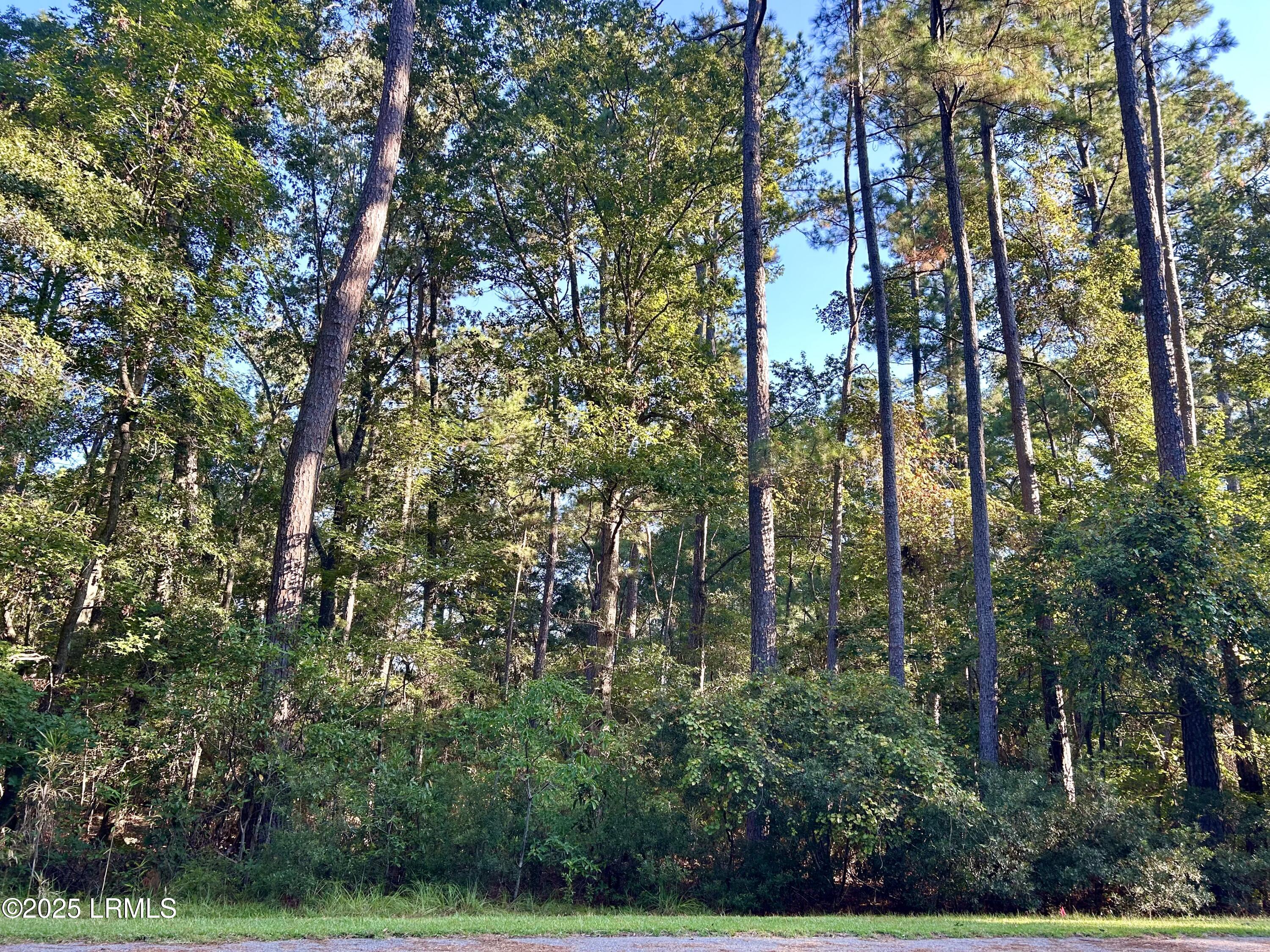 12 Barnaby Bluff Seabrook, SC 29940 - Photo 2 of 15 Land