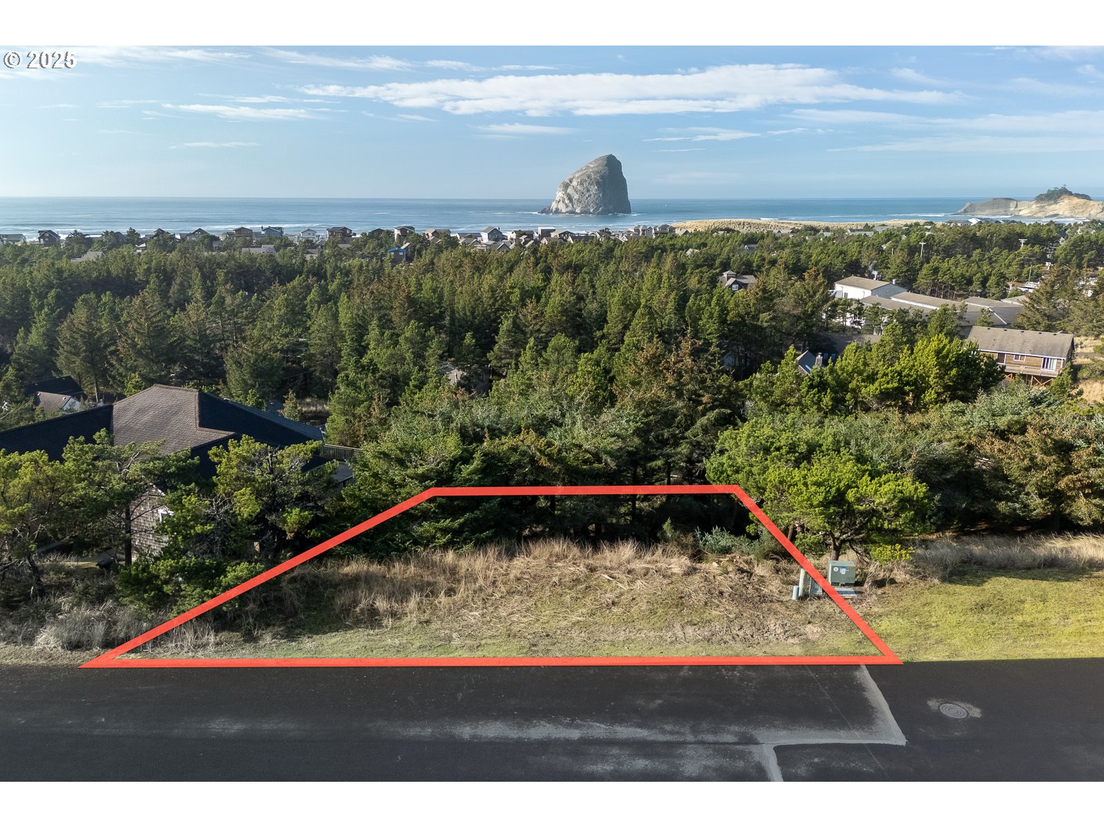 50 Nestucca Ridge Road Pacific City, OR 97135 - Photo 3 of 10 a view of a swimming pool with a yard and large trees