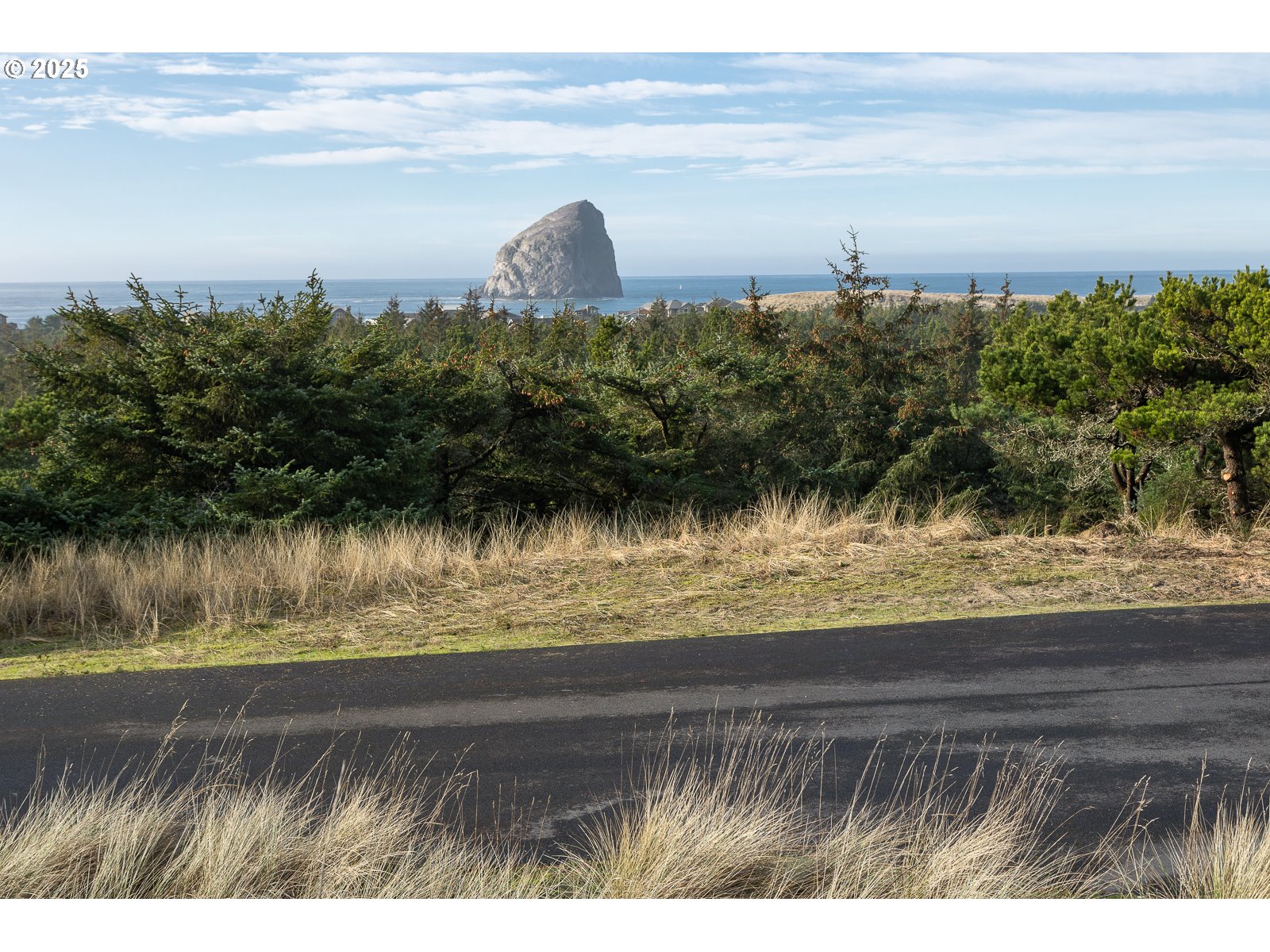 50 Nestucca Ridge Road Pacific City, OR 97135 - Photo 9 of 10 a view of a lake from a yard