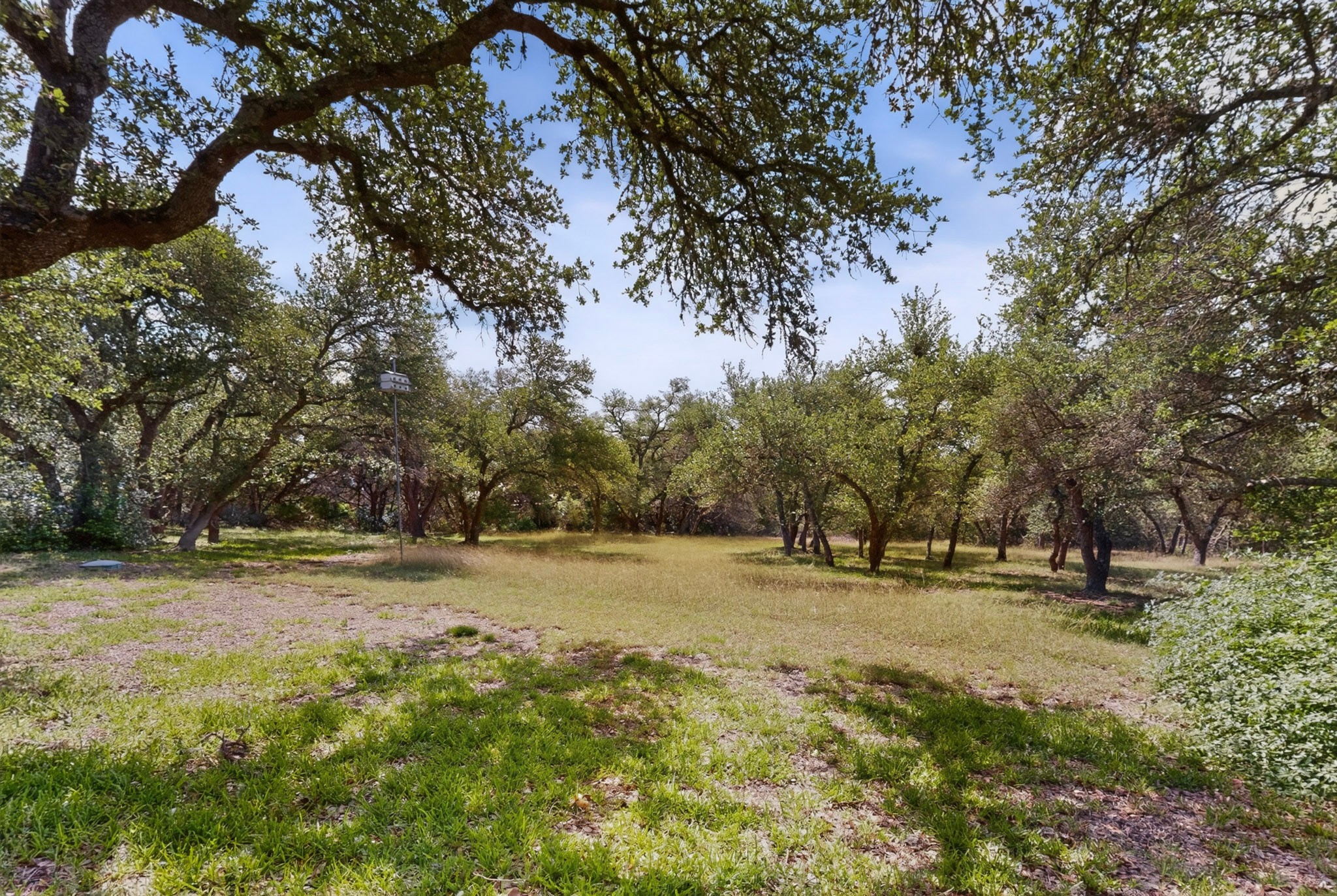 1003 Pier Branch Road Dripping Springs, TX 78620 - Photo 5 of 40 A tranquil, tree-lined lot offers verdant privacy and natural charm.