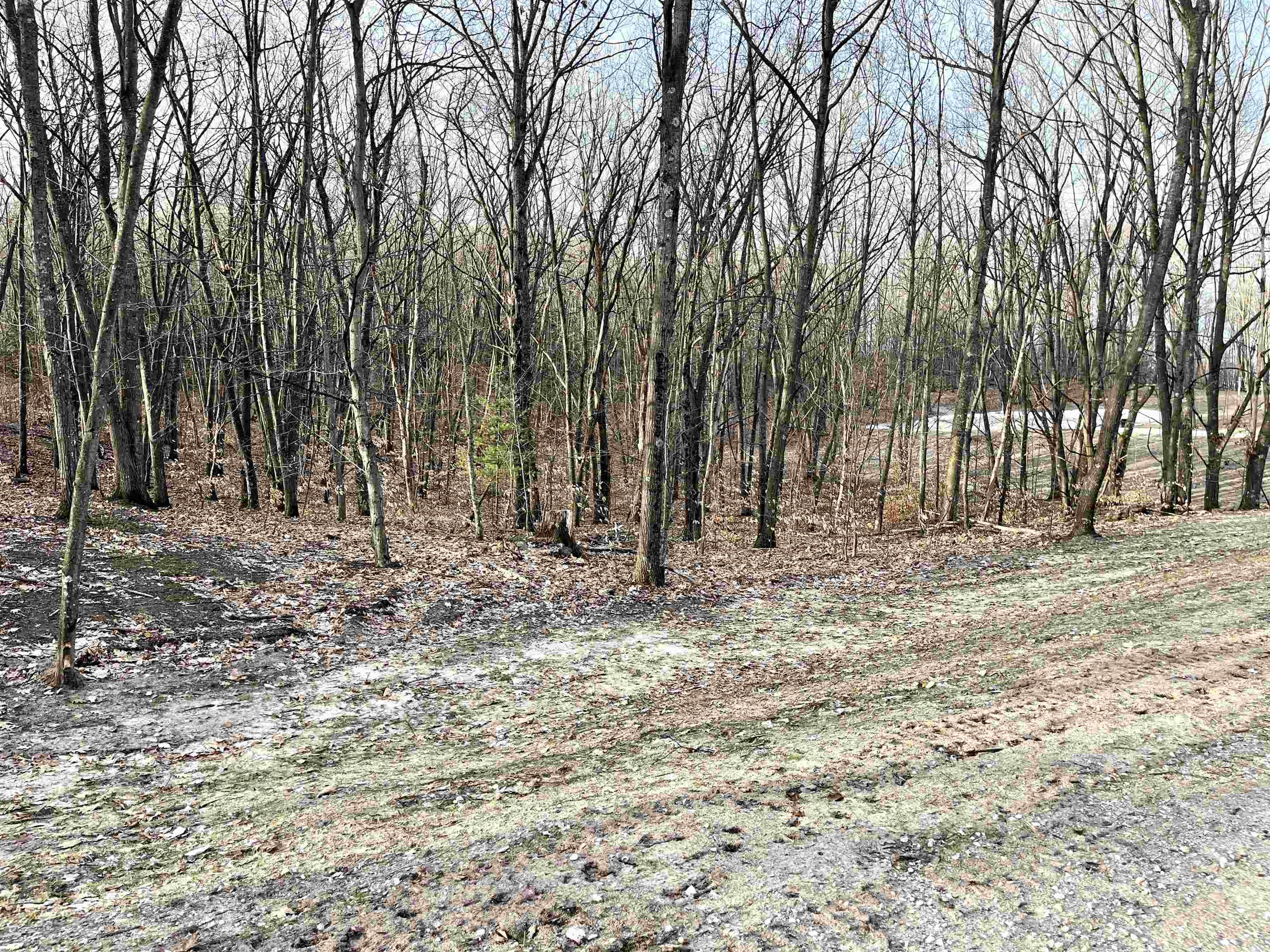 Parcel D West Trumbull Road Maple City, MI 49664 - Photo 7 of 10