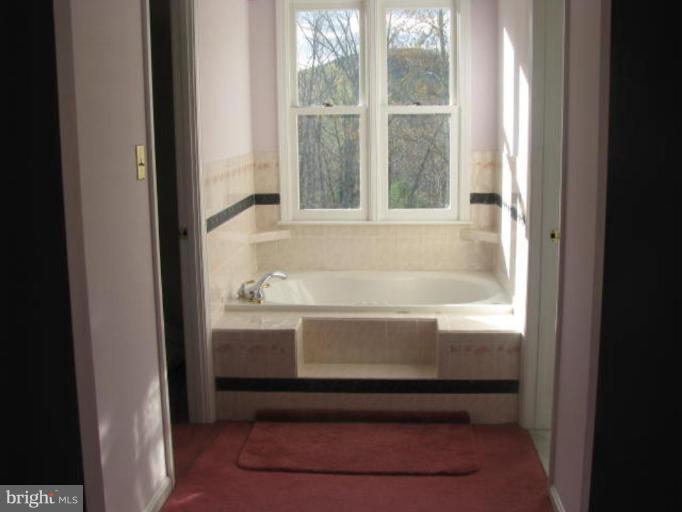 8388 Old Stillhouse Road Rixeyville, VA 22737 - Photo 11 of 15 a bathroom with bathtub and window