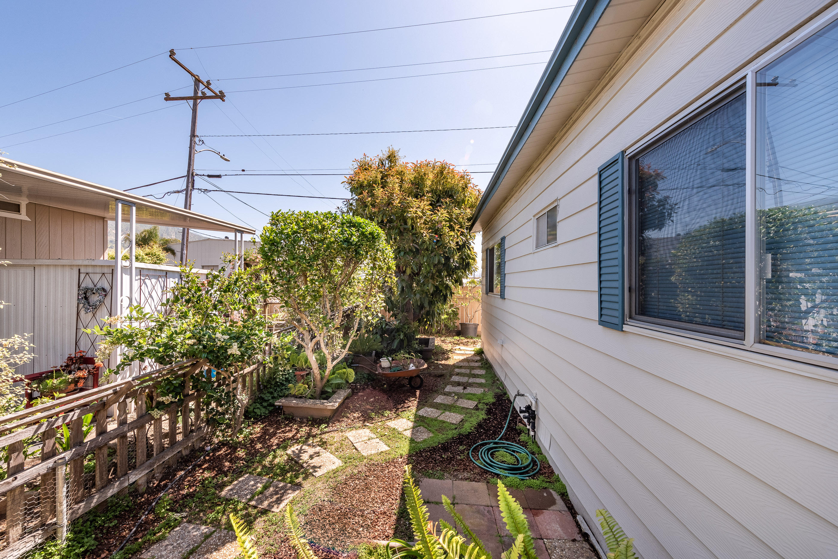 3950 Via Real, Unit 129 Carpinteria, CA 93013 - Photo 22 of 35 a potted plant sitting in front of a window
