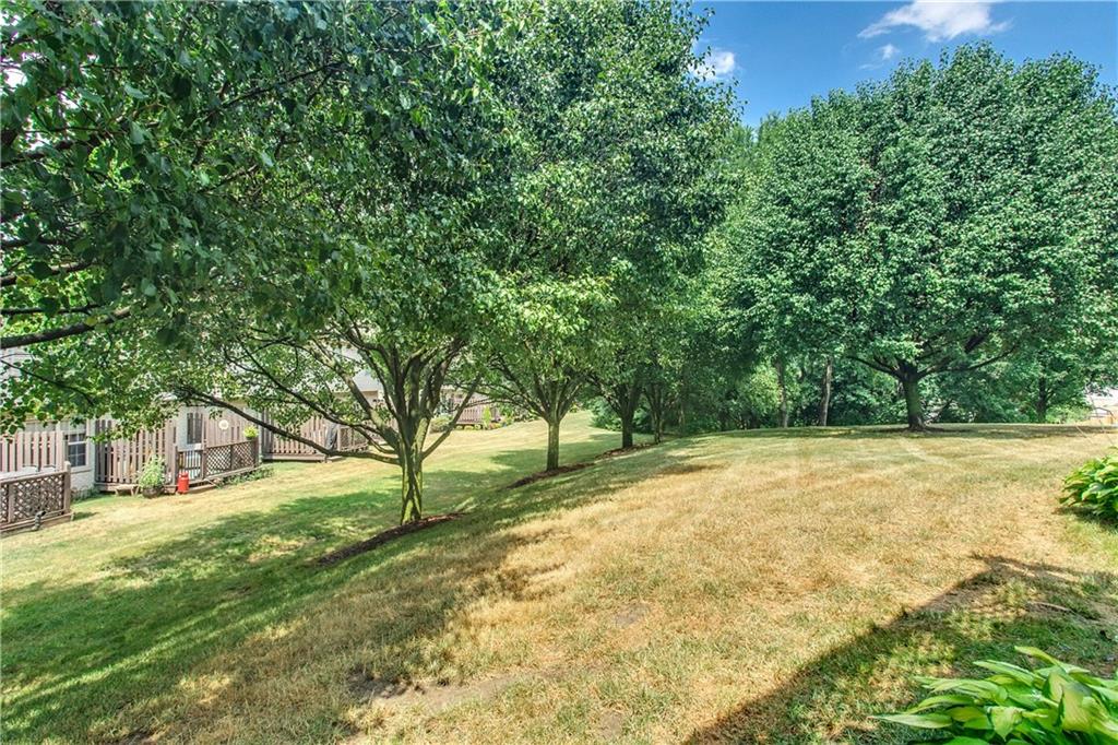 210 Grace Street McKees Rocks, PA 15136 - Photo 22 of 22 The mature trees provide privacy.