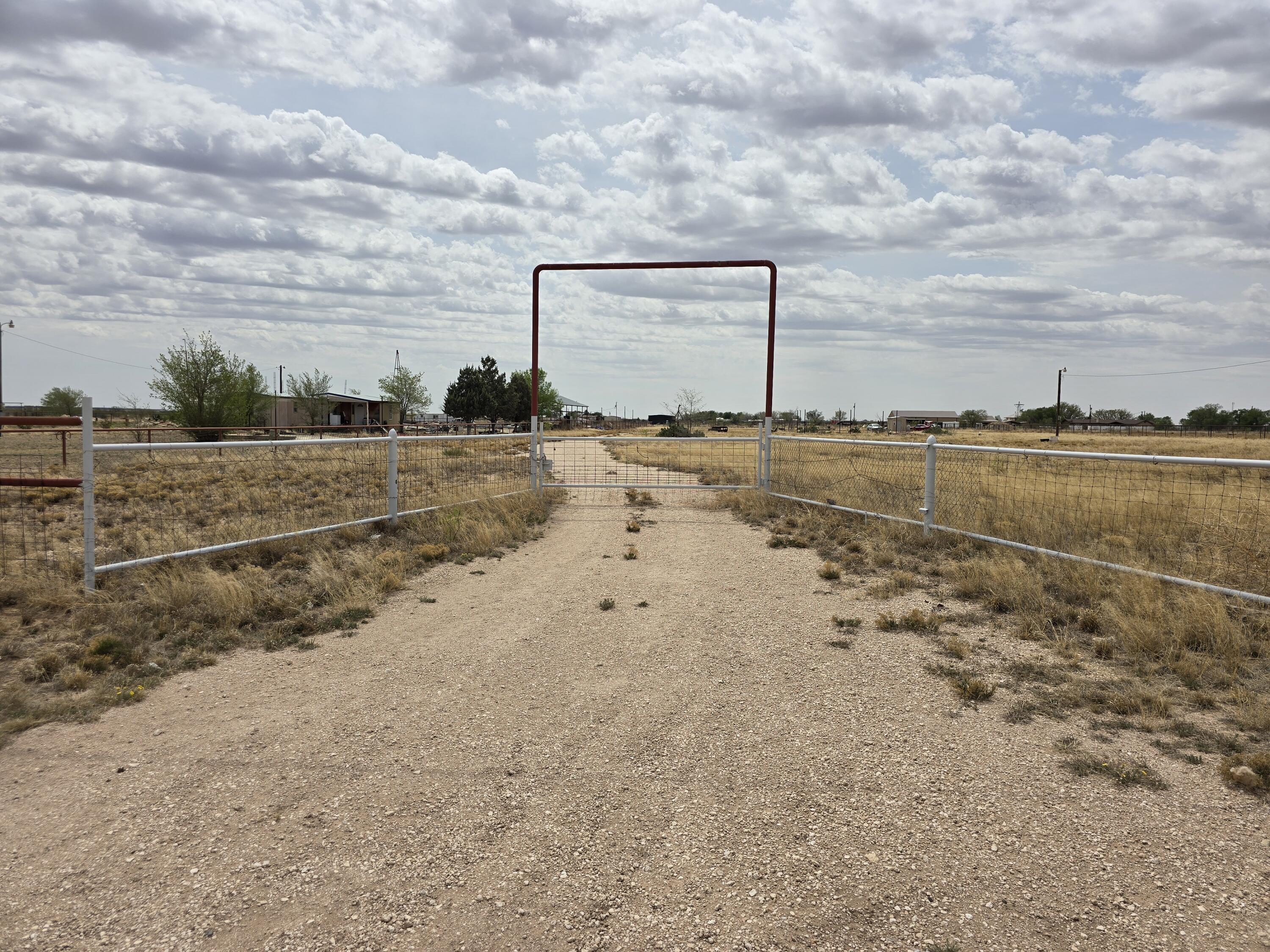 a view of a dry yard with wooden fence