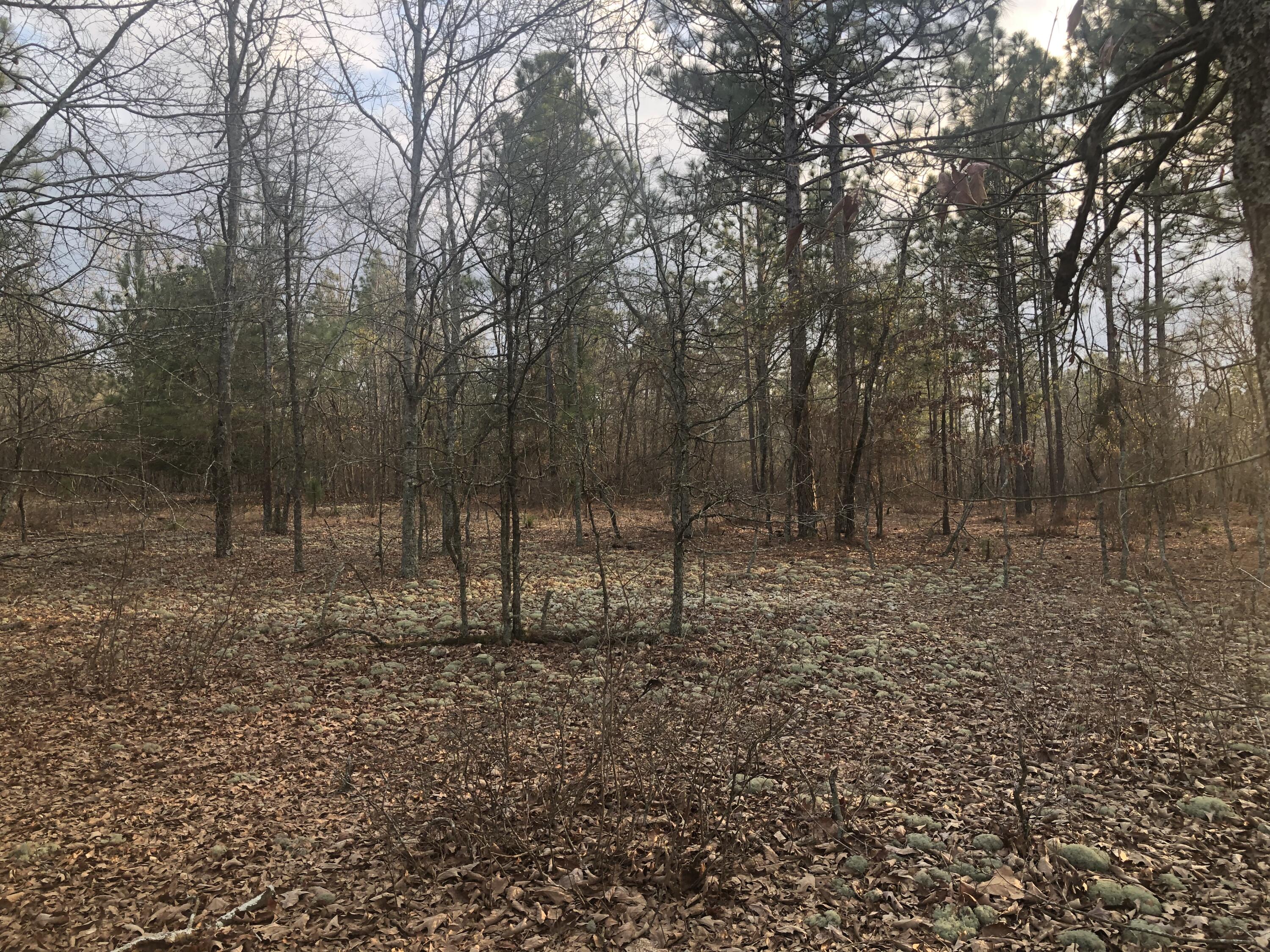 0 Coleman Bridge Road Northeast Aiken, SC 29801 - Photo 7 of 7