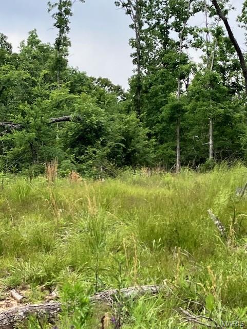 234 Madison Street Fredericktown, MO 63645 - Photo 3 of 3