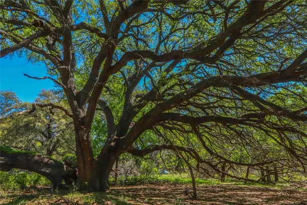 $6,000,000 | 1952 Fm 1689, Comanche, TX 76442