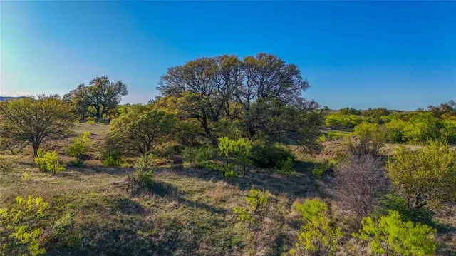 a view of a field with an ocean
