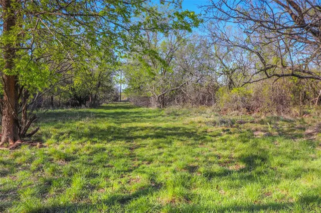 a backyard of a house with large trees