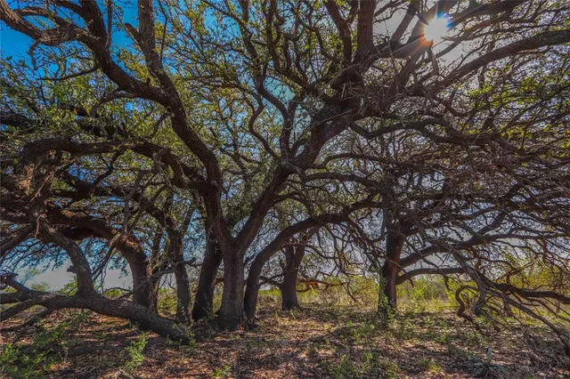 a view of a field with an ocean view