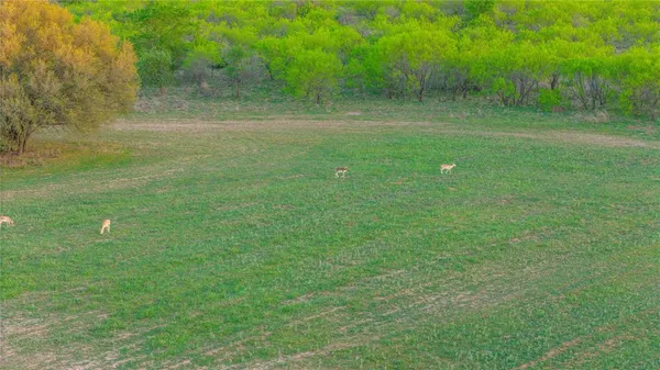 $6,000,000 | 1952 Fm 1689, Comanche, TX 76442